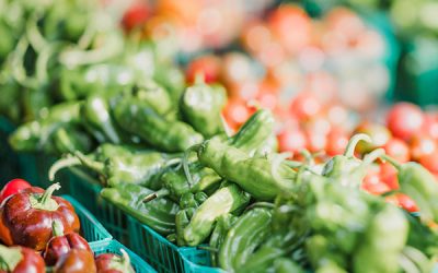 Ringkasan Kinerja Komisi IV DPR RI MP II Tahun 2020